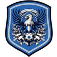 https://img.nanjingshengjing.com/img/football/team/09bb5b9732bc080d522c37e74ce70004.png