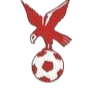 https://img.nanjingshengjing.com/img/football/team/4802d26df935b78bb2fcdbbff36e8864.png