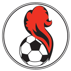 https://img.nanjingshengjing.com/img/football/team/5541e5015258ae82b121480f4164267d.png