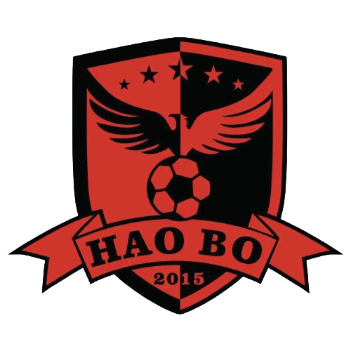 https://img.nanjingshengjing.com/img/football/team/d9a3c5c122b3cc6e825109eb6745e378.png